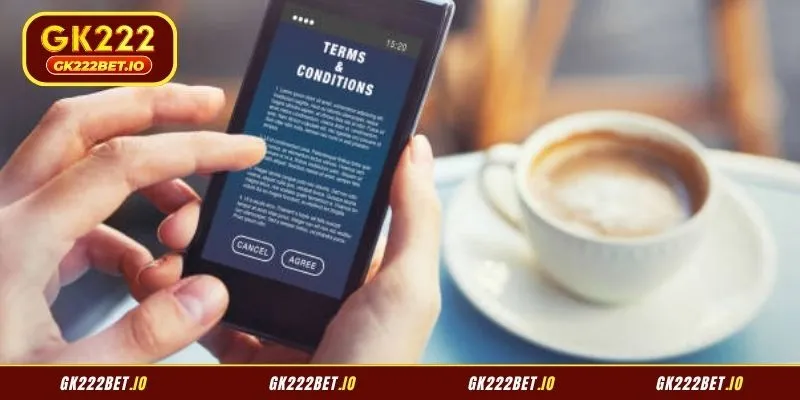 Overview of the GK22 Terms and Conditions document for new users
